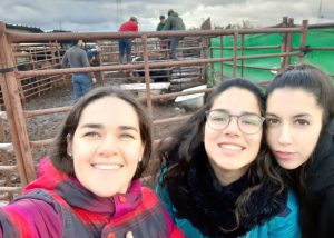 alumnas en practicas de campo: saneamiento de vacas y toros