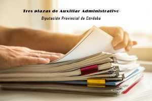 Tres plazas de Auxiliar Administrativo en la Diputación de Córdoba